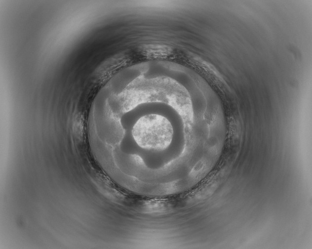 X0000112820761200909041515