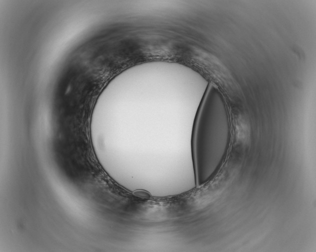 X0000112820764200909041515