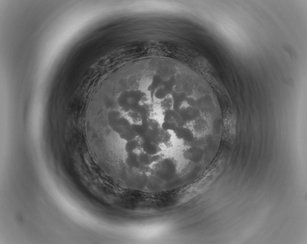 X0000112820765200909041515