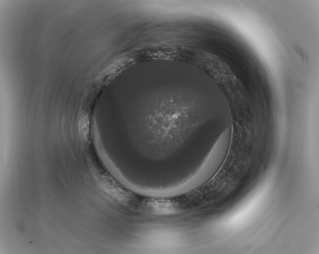 X0000112820767200909041515