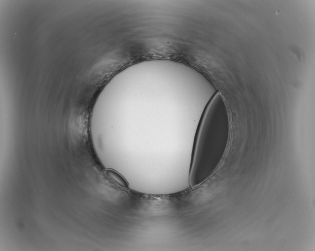 X0000112820768200909041515