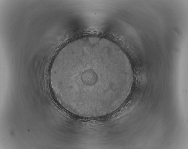 X0000112820769200909041514