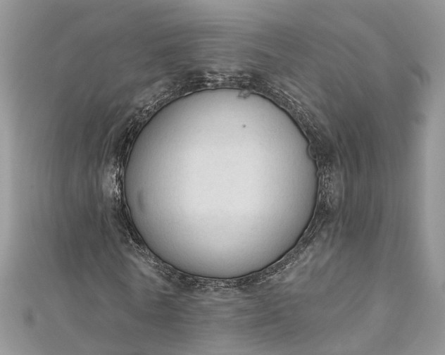 X0000112820770200909041514