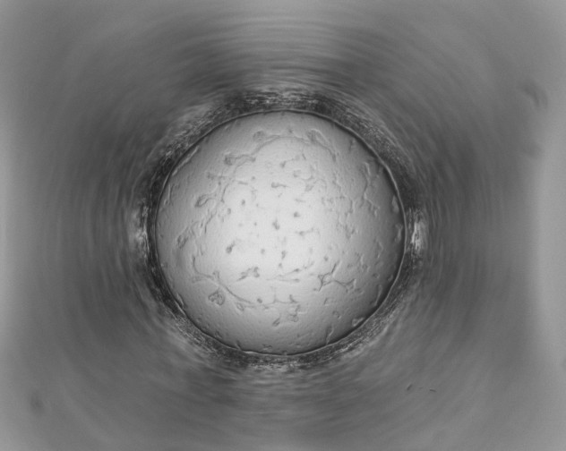 X0000112820771200909041514