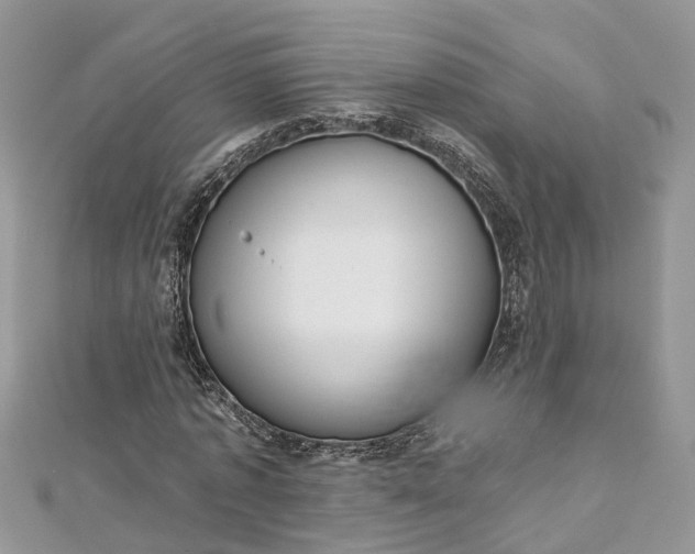 X0000112820773200909041514