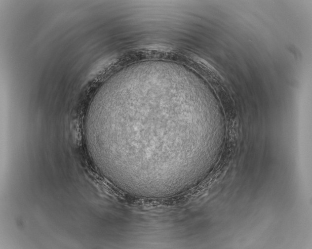 X0000112820774200909041514