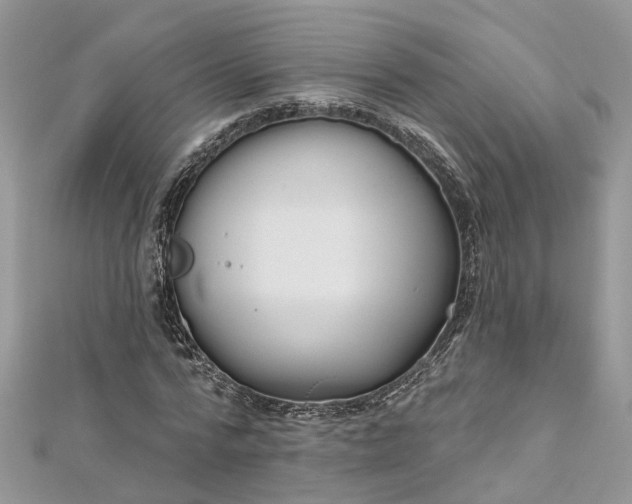 X0000112820776200909041514