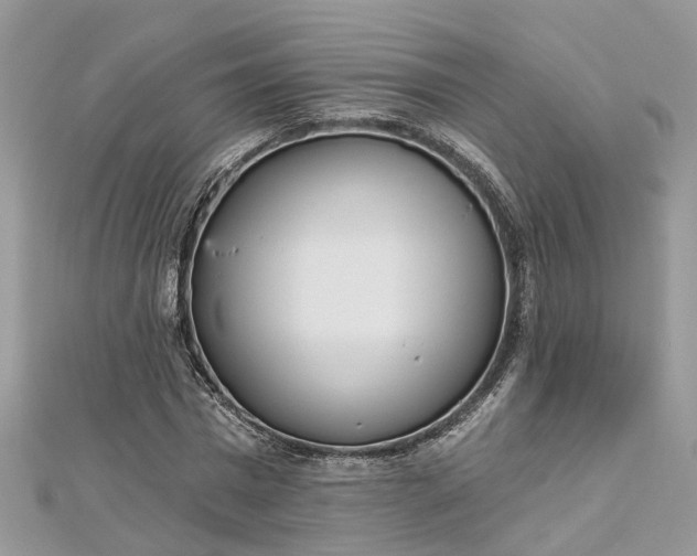 X0000112820777200909041514