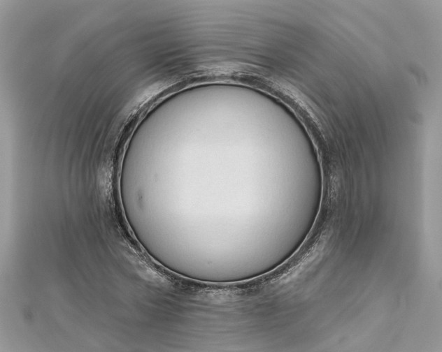 X0000112820778200909041514