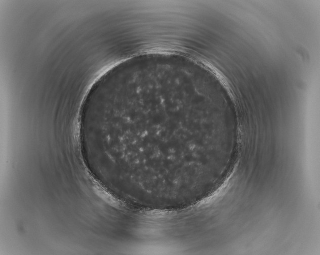 X0000112820779200909041514