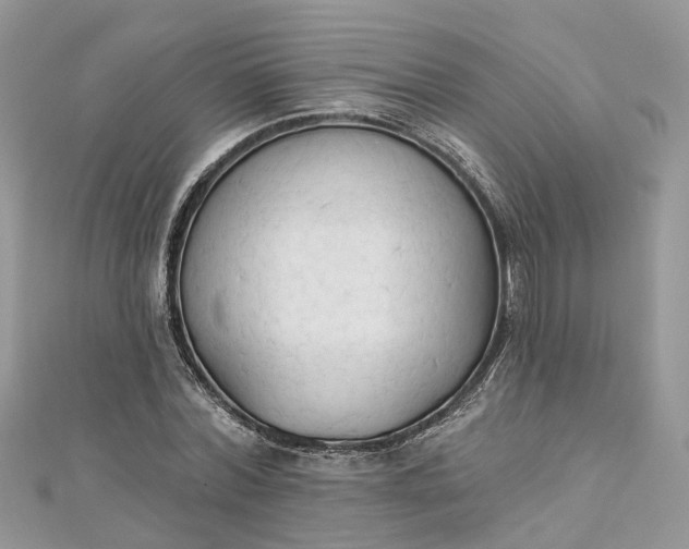 X0000112820780200909041514