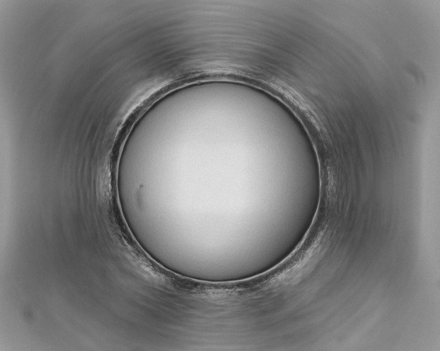 X0000112820782200909041514