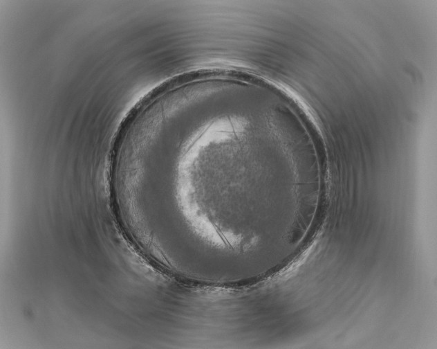 X0000112820783200909041514