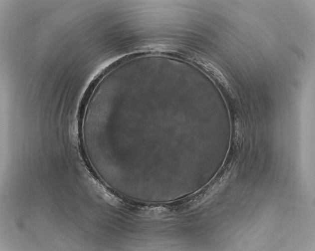 X0000112820784200909041514