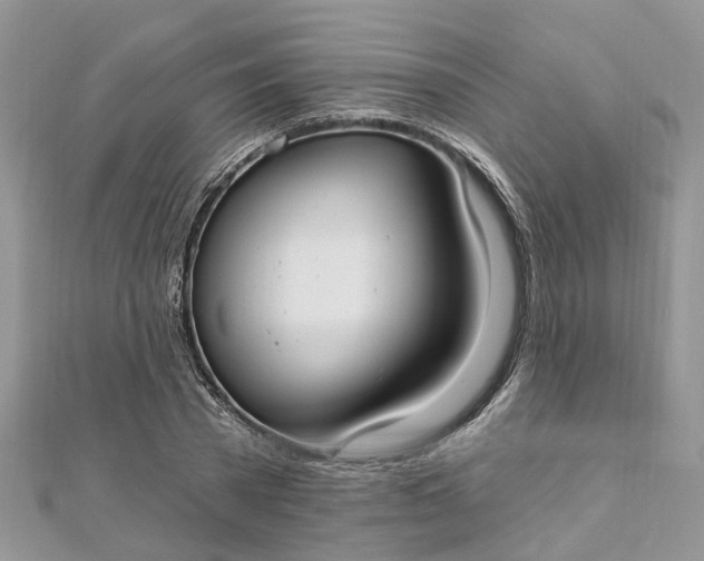 X0000112820785200909041514