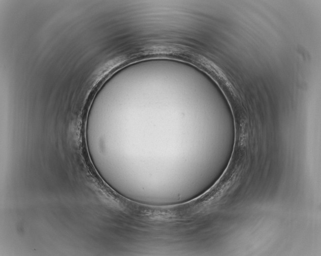 X0000112820786200909041514