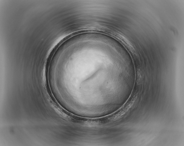 X0000112820788200909041514