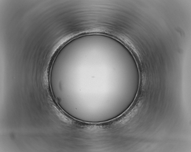 X0000112820789200909041514