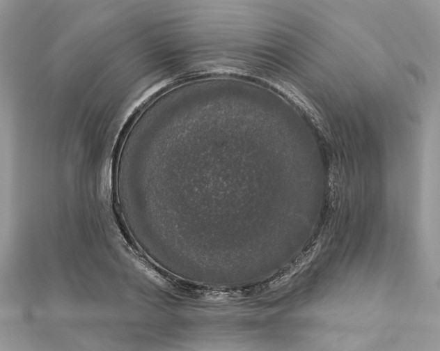 X0000112820790200909041514