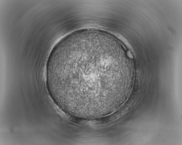 X0000112820791200909041514