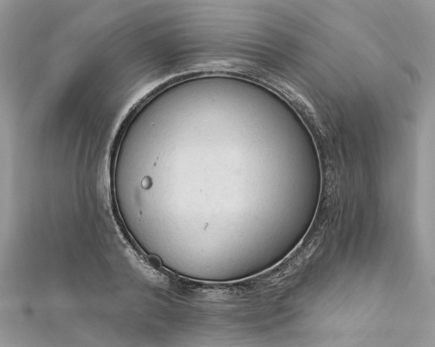 X0000112820792200909041514