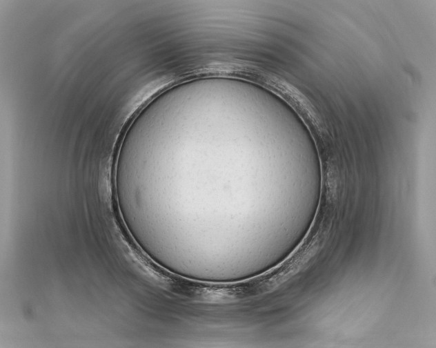 X0000112820794200909041514