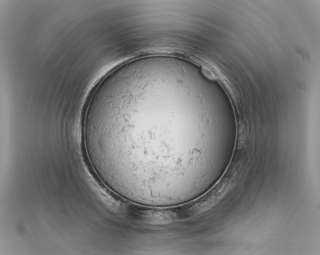 X0000112820795200909041514