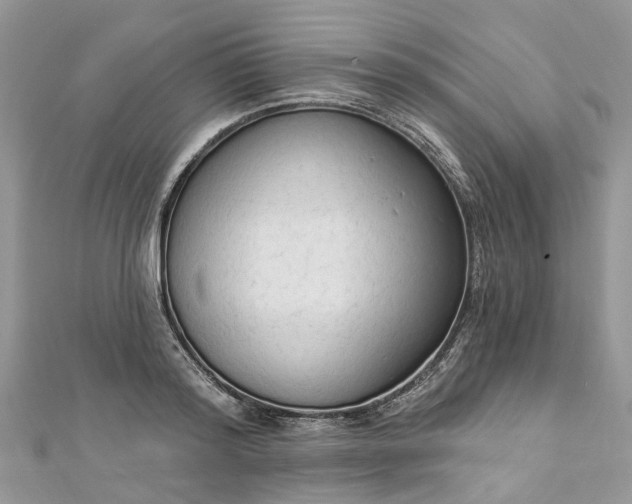 X0000112820796200909041514