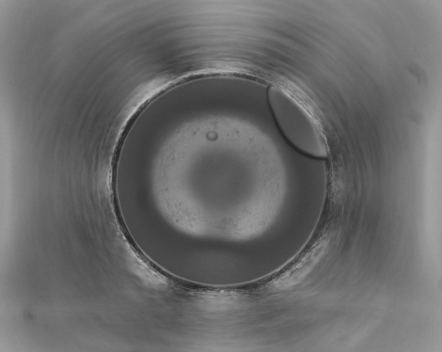 X0000112820797200909041514