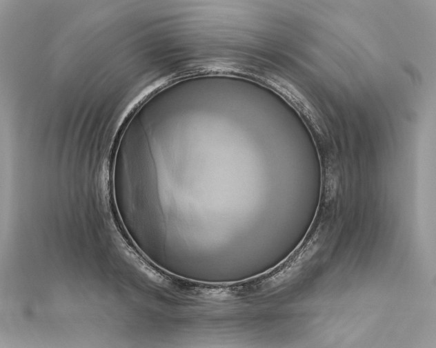 X0000112820798200909041514