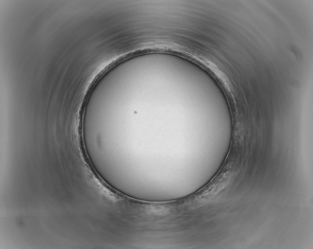 X0000112820799200909041514