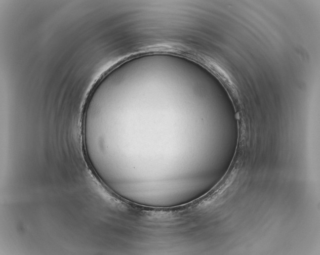 X0000112820800200909041514