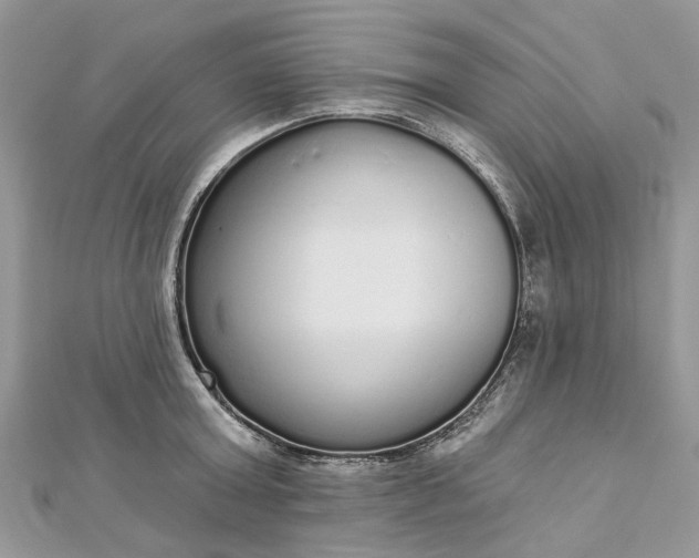 X0000112820803200909041514