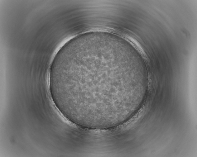 X0000112820804200909041514