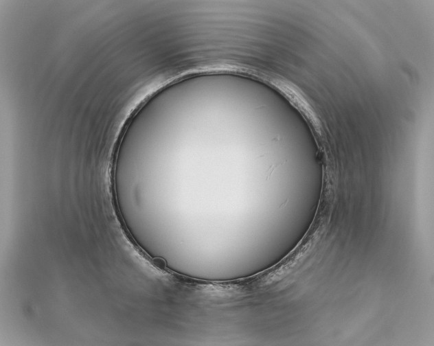 X0000112820805200909041513