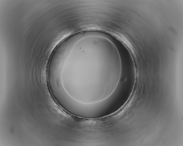 X0000112820806200909041513