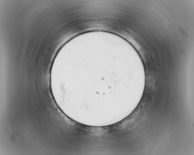 X0000112820807200909041513