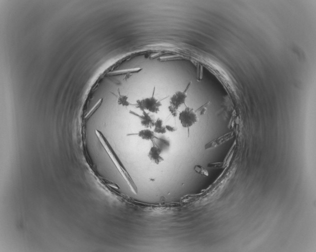 X0000112820808200909041513