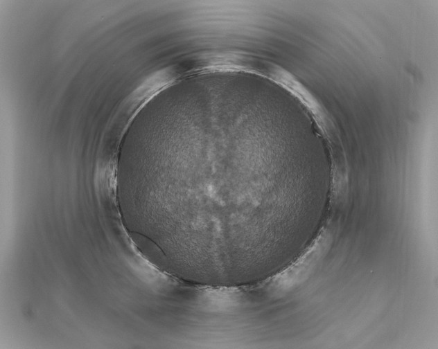 X0000112820809200909041513