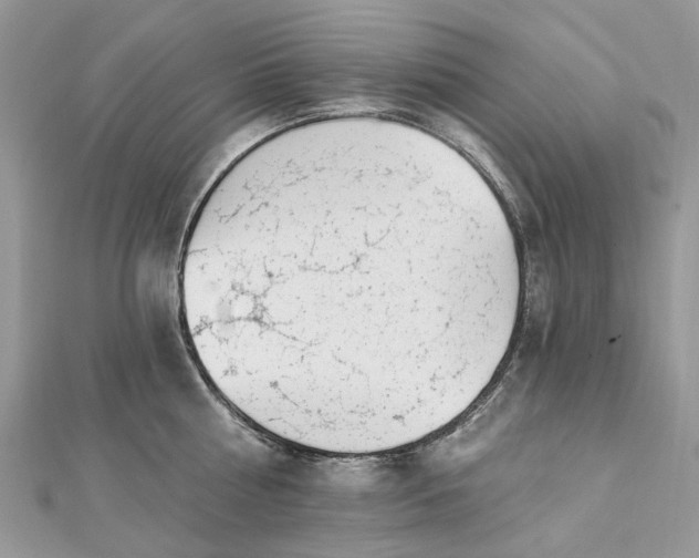 X0000112820810200909041513