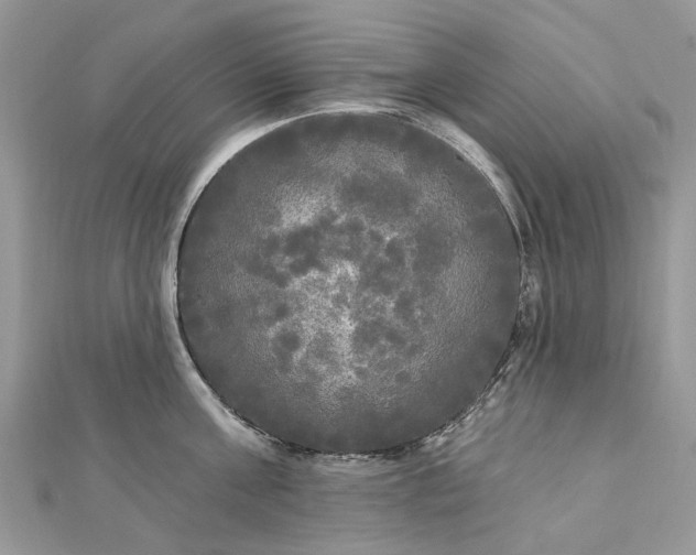 X0000112820811200909041513