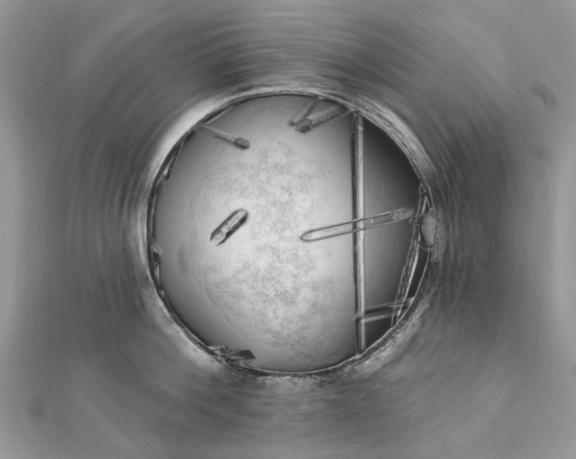 X0000112820812200909041513