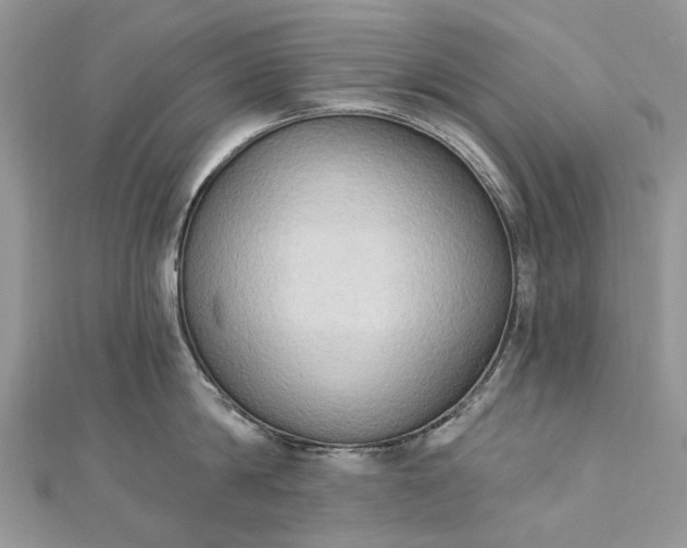 X0000112820814200909041513