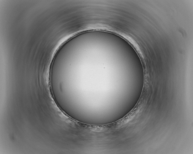 X0000112820815200909041513