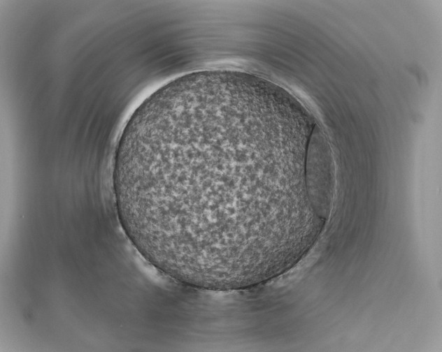 X0000112820816200909041513