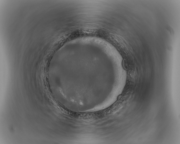 X0000112820817200909041513