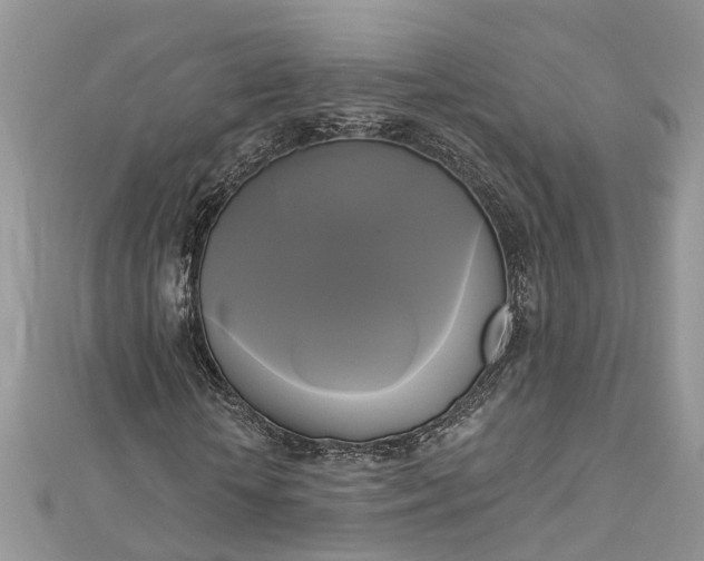 X0000112820818200909041513