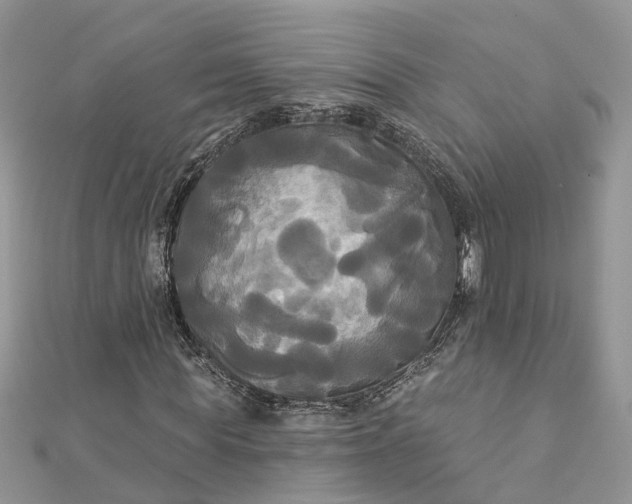 X0000112820819200909041513