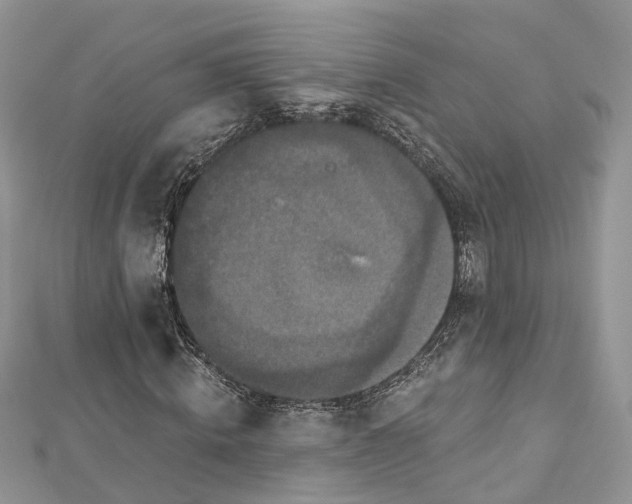 X0000112820820200909041513