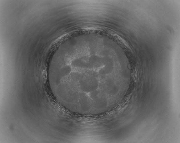 X0000112820821200909041513